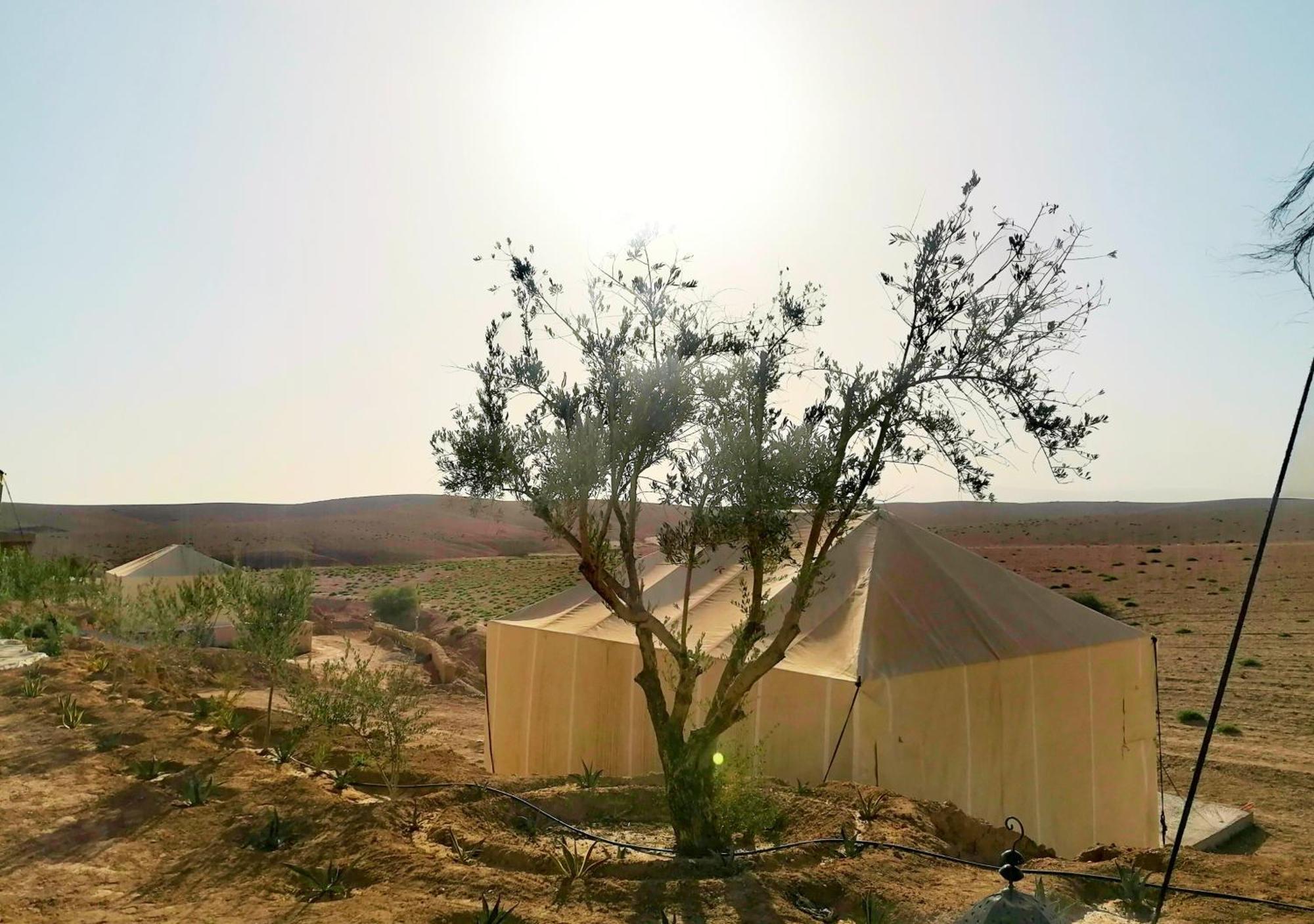מלון Agafay The Original Camp מראה חיצוני תמונה